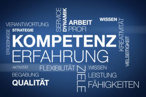 Erfahrene Webagentur